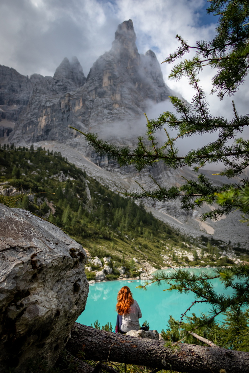 non-urban scene, conifer, abies, landscape, leisure activity, front, water, 5K, sitting, beauty in nature, scenery, looking at view, daytime, outdoors