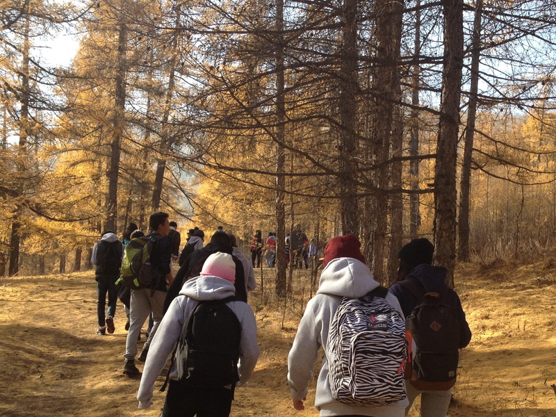 lake, group of people, men, forest, group, outdoors, tree, clothing, women, day, trees, nature, lifestyles, hicking, plant, winter, students, people, leisure activity