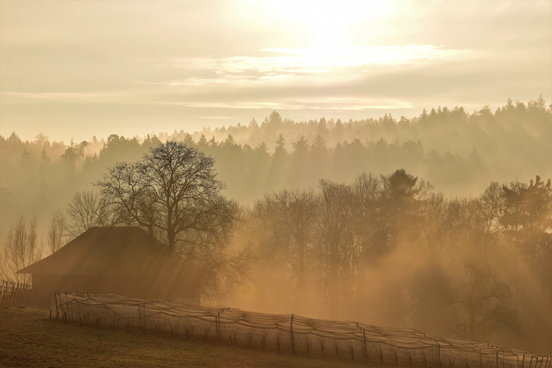 house, sky, dawn, environment, non-urban scene, sunrise - Dawn, mountain, hazy, nature, sunrise, morgenstimmung, field, sunset, forest, scenics, outdoors