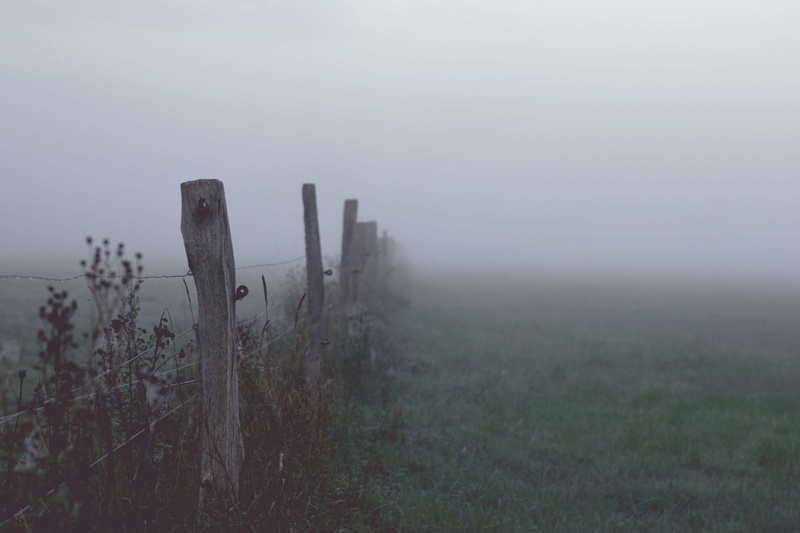 mood, morning, post, field, impaler, autumn, foggy, skies, protection, lonely, oppressive, diffuse, tranquility, sun, tranquil scene, no people, barrier