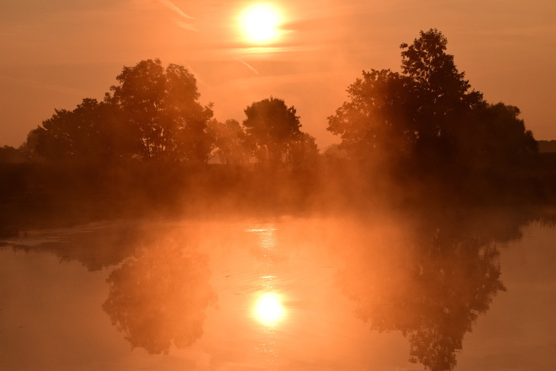 outdoors, sunrise - Dawn, beauty in nature, silhouette, golden, morning, mourning, sky, sunrise, dawn, morgenrot, skies, beautiful, tranquility, orange color