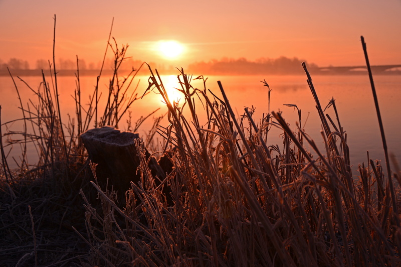 river, sun, sky, idyllic, or meadows, 5K, outdoors, bank, grasses, sunrise, grass, tranquility, morgenrot, field, plant, sunlight, growth, orange color