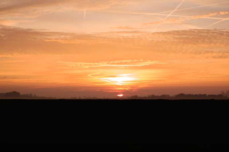 silhouette, autumn, cloud - sky, scenics, morgenrot, environment, sunset, no people, tranquility, tranquil scene, sunrise - Dawn, sun, morning sun, orange Color