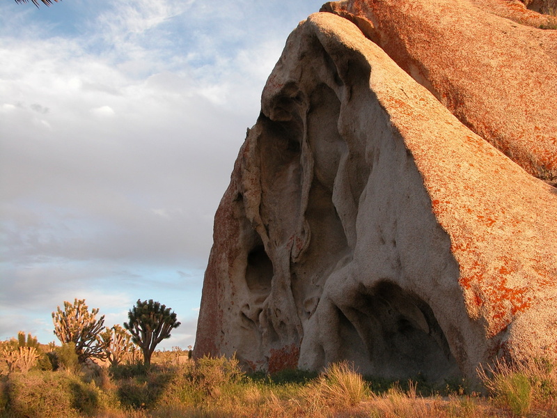 sunlight, non-urban scene, travel destinations, land, boulder, nature, rock - object, semi-arid, joshua trees, desert, 1080P, cima dome, plant, cloud - sky