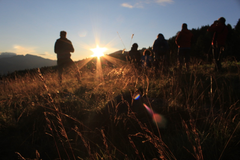grass, bright, growth, sole, gente che loda, tranquility, plant, italy, real people, beauty in nature, men, outdoors, 5K, land, sunlight, people, predazzo