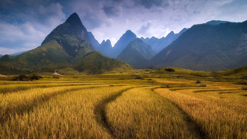rocky, 1080P, widescreen, peaks, jagged, rice, field, mountains