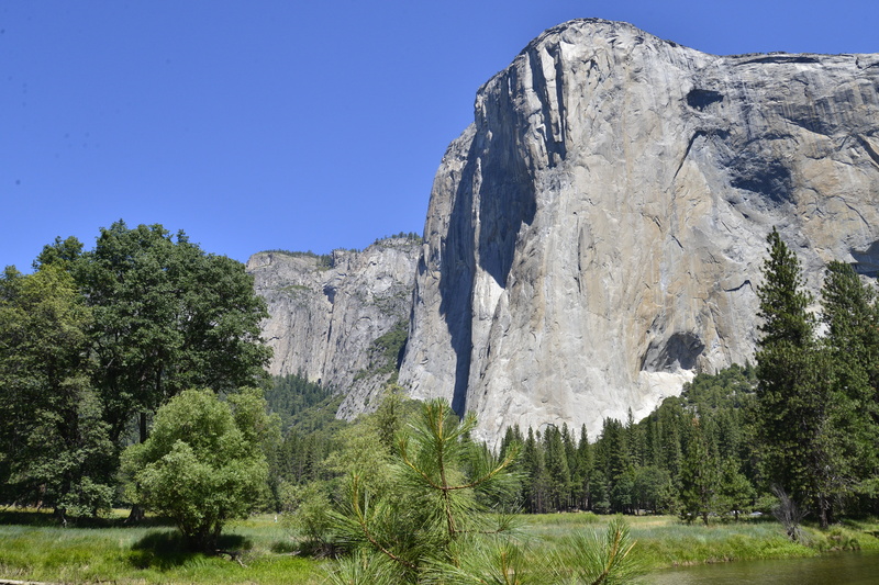 scenics - nature, high, plateau, rugged, vacation, terrain, el, tourism, coniferous tree, rocky, grand, giant, green color, altitude, gigantic, blue, growth