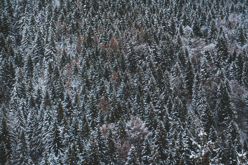 no people, cold temperature, italia, panorama invernale, snow, full frame, pine, brescia, ice, plant, snowing, abies, aerial, frost, pattern, spruce, photo