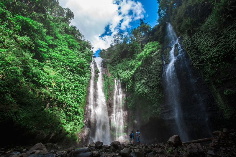 green, scenics - nature, green color, my love, power in nature, environment, forest, bali, 1080P, sky, nature, motion, awesome, tree, real people, rock