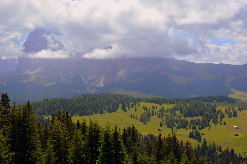 scenics - nature, land, tranquility, italy, mountain peak, alpe di siusi, mountain range, valle, plant, sky, growth, pine tree, nature panorama, trees