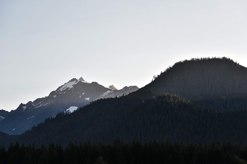 pine tree, moungtain line, silhouette, mountain, non-urban scene, hills, adventure, lake, beauty in nature, tranquility, explore, ⛰, plant, morning, tranquil scene
