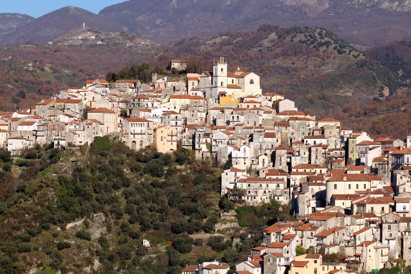 town, townscape, city, agglomeration, nature, tree, building, country, village, crowd, 5K, building exterior, basilicata, crowded, apartment, italy, house