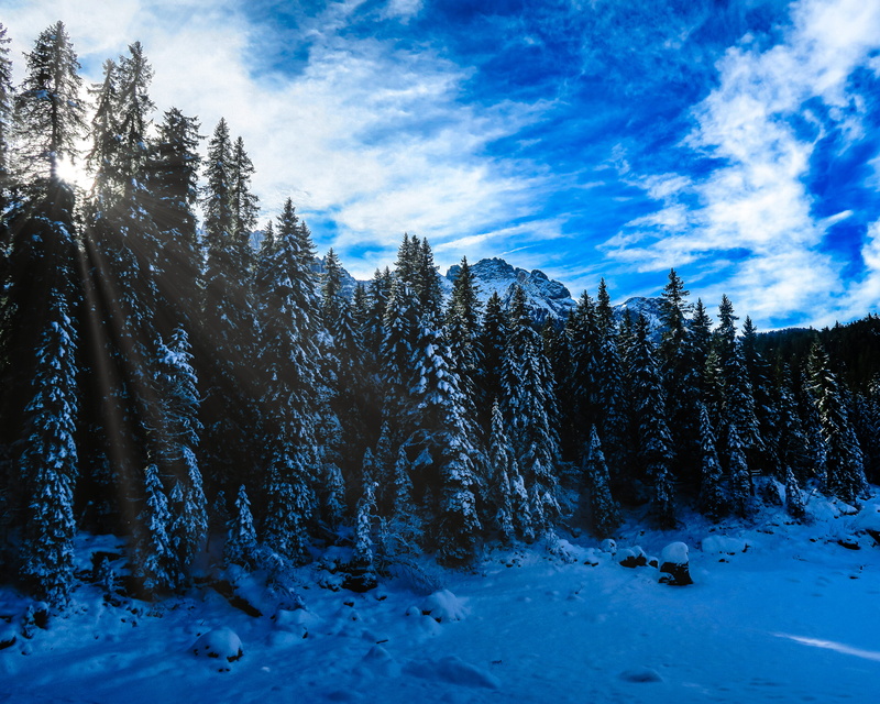 explore, 4K, snow, landscape photography, discovery, day, scenics - nature, karersee, travel, snow forest, no people, sky, coniferous tree, hiking, land