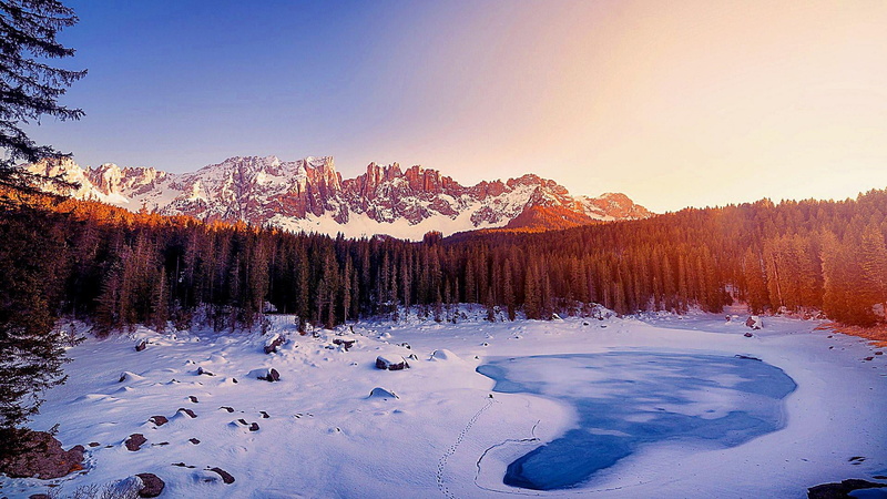 mountain, no people, plant, landscape, frost, winter, pinaceae, land, mountain peak, scenics - nature, snow, cold temperature, 1080P, snowcapped mountain