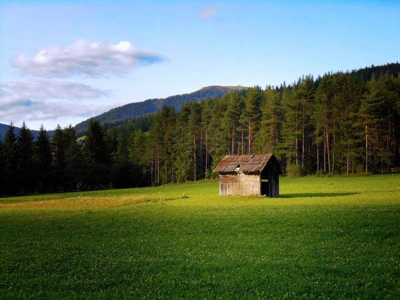 autumn, landscape, plant, growth, no people, log cabins, south tyrol, field, green, sky, mountain lodge, cottage, built structure, blue, non-urban scene