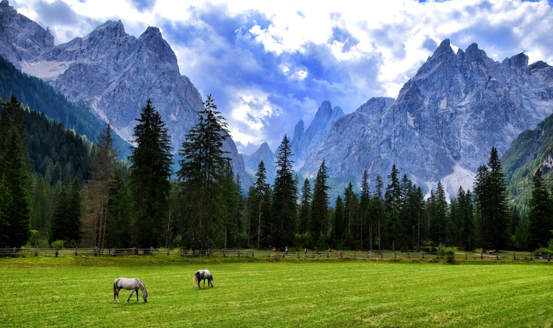 5K, italy, landscape, sky, field, nature, valfiscalina, green, light, two, mammal, land, herbivorous, white, livestock, cloud - sky, dolomites, domestic