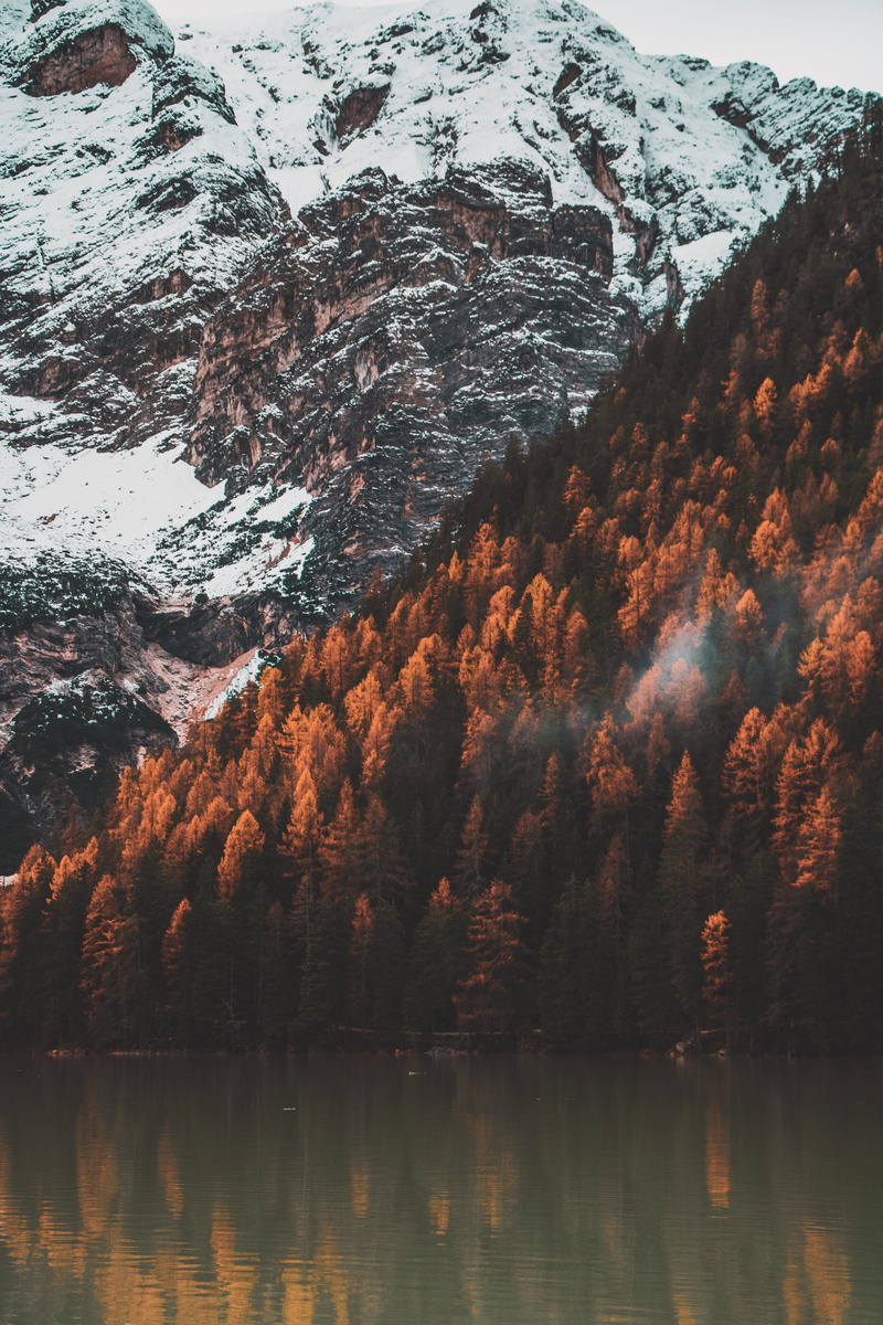rocks, 5K, tree, snowy, yellow, reflectios, lake, idyllic, tranquil scene, fir, reflection, winter, waterfront, orange, non-urban scene, trees, green