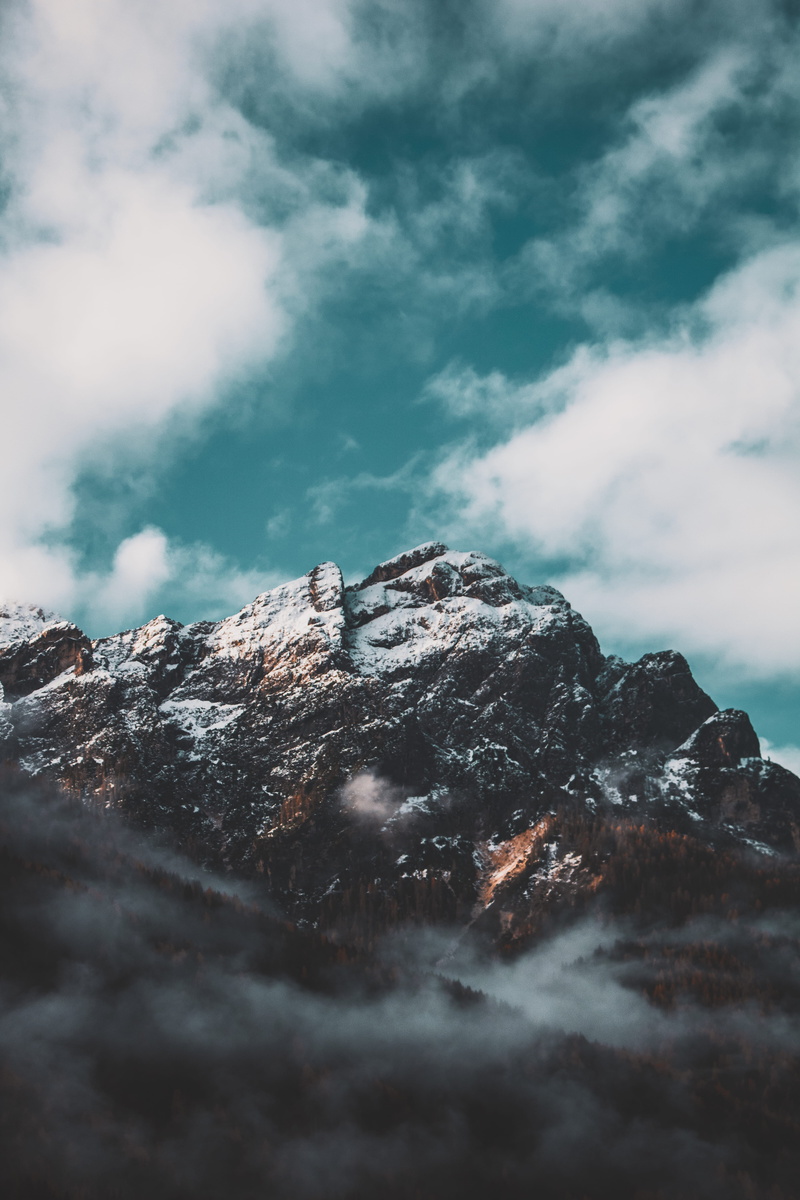plant, cyan, tranquility, ice, winter, cloud - sky, nature, fir, outdoors, mountain peak, selective focus, cold temperature, tranquil scene, pragser wildsee