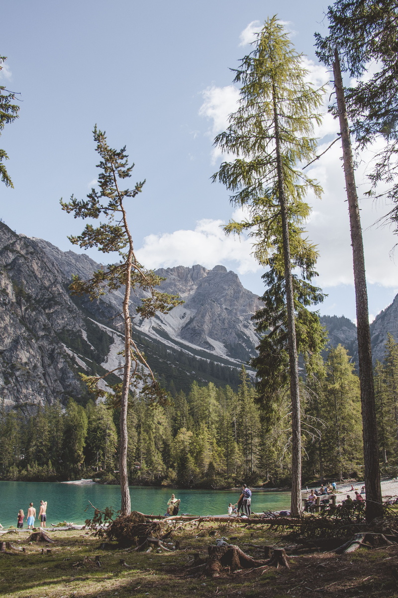 group of people, fir, dolomi, person, tranquility, building, 4K, housing, tranquil scene, outdoors, scenics - nature, braies, human, larch, alps, pine