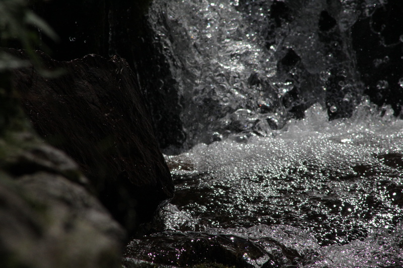 rock, outdoors, tree, 5K, land, close-up, no people, focus on foreground, textured, forest, beauty in nature, water, rock - object, motion, solid, cavalese