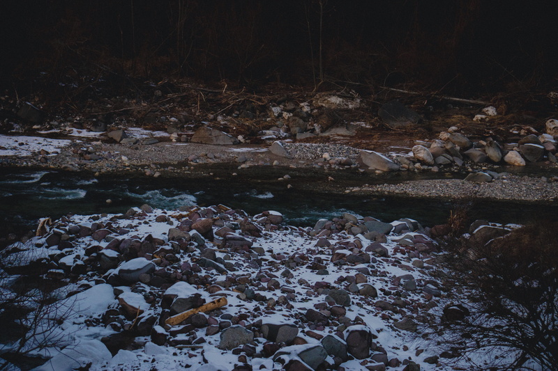 land, rock - object, gold, water, cold temperature, forest, outdoors, beauty in nature, cavalese, tree, 5K, no people, rock, river, nature, log, blue
