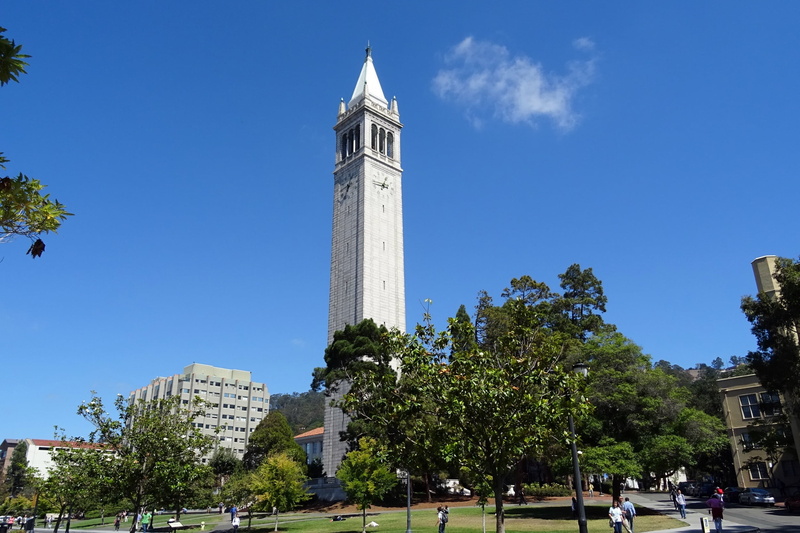 architecture, sather tower, day, tall - high, tower, travel, education, tree, california, history, architectural column, building exterior, blue, sky, campanile
