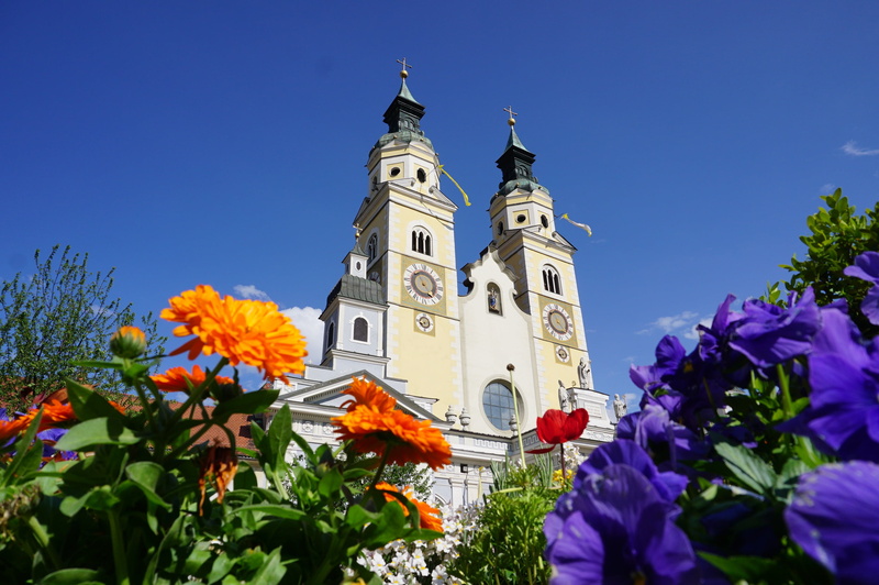 clock, outdoors, clear sky, photography, cathedral, garden, no people, basilica, 2K, green color, built structure, campanile, freshness, ancient, petals