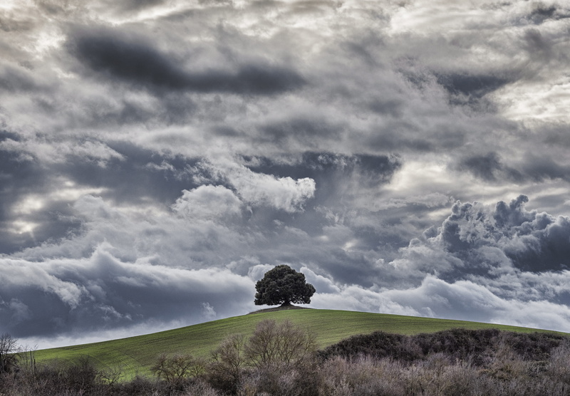 pieve a salti, land, nature, landscape, cumulus, tree, mound, cloud, environment, remote, vegetation, day, scenics - nature, green, outdoors, countryside
