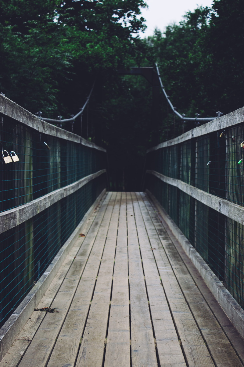 transportation, ben nevis, united kingdom, suspension, footbridge, railing, plant, no people, architecture, direction, built structure, connection, tree