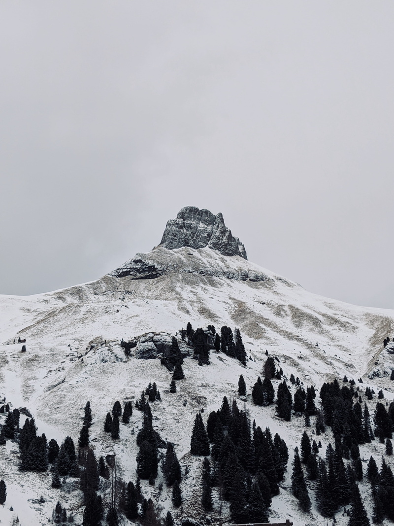 winter, human, snowcapped mountain, sky, pine, tranquility, tranquil scene, landscape, no people, scenics - nature, conifer, unnamed road, extreme weather