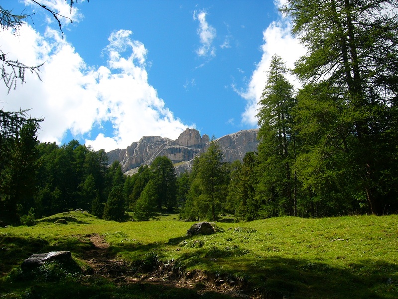 environment, no people, sky, nature, beauty in nature, non-urban scene, plant, landscape, mountain, tranquility, tranquil scene, tree, trees, prato, land