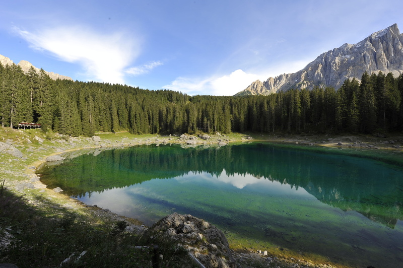 tree, non-urban scene, beauty in nature, coniferous tree, 4K, sky, outdoors, lake caress, mountains, growth, day, nature, cloud - sky, tranquil scene