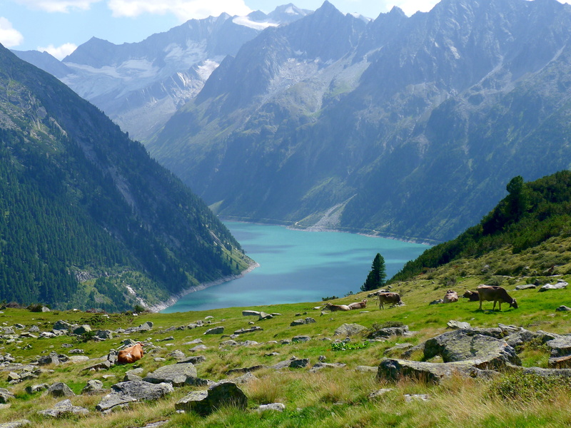 austria-tirol-zillertal, water, body, tranquility, no people, near, 2K, mountain, remote, plant, green, mountain peak, beauty in nature, mountain range