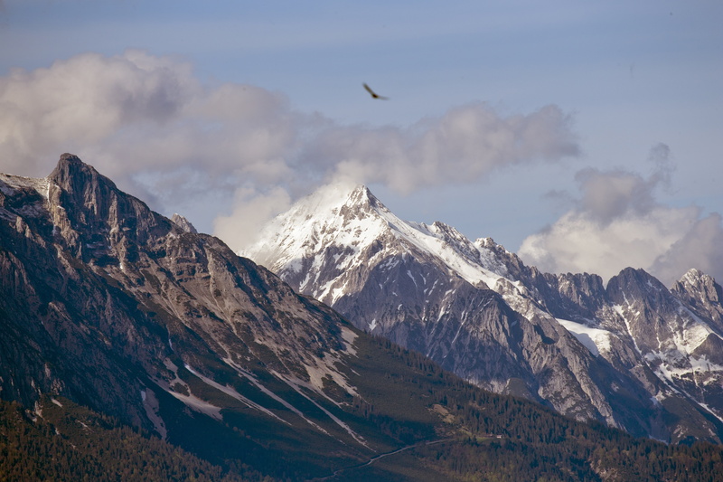 snow, cloud - sky, snowcapped mountain, animal, cold temperature, sky, snow capped, sky and cloud, flying, animal themes, nature, mountain peak, animals in the wild