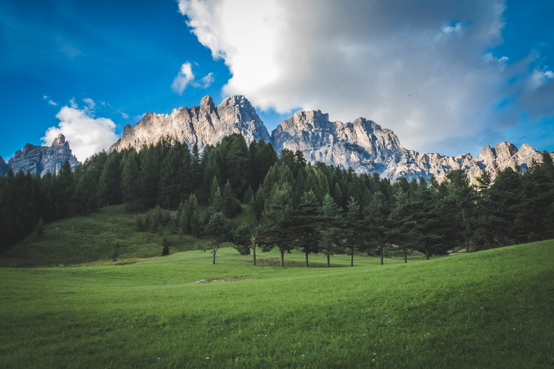 europe, 5K, sky, pine tree, italy, field, tranquility, ridge, mountains, alpine, alps, italian, dolomites, mountain range, national, snowcapped mountain