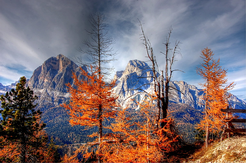 non-urban scene, woodland, beauty in nature, autumn, no people, pine woodland, clouds, tree, mountain pass, alpine panorama, alpine, mountains, rock, change