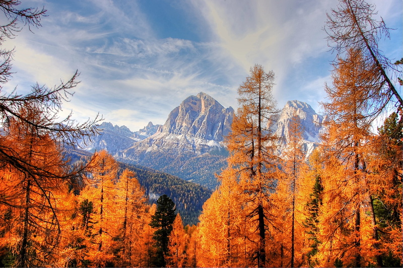 alm, tranquil scene, italy, no people, dolomites, alpine, trees, summer, rubble field, landscape, forest, tranquility, beauty in nature, lago federa, rock