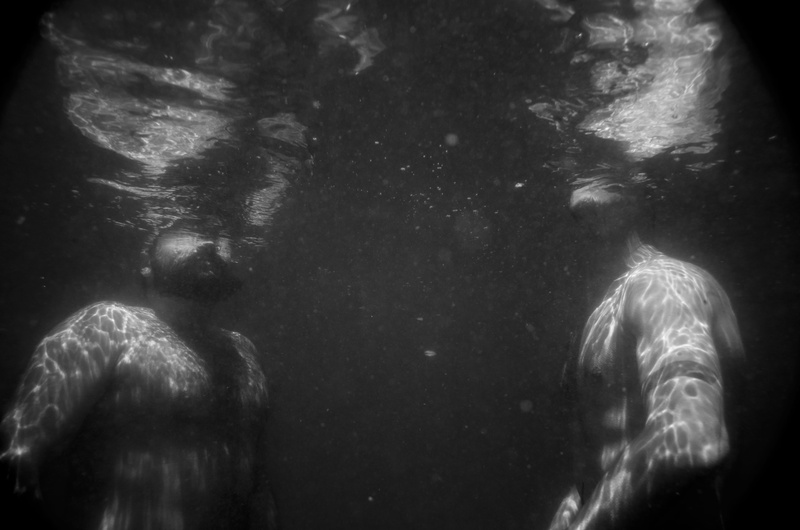 bodies, underwater, black and white, bw, animal, no people, animals in captivity, body, bn, olbicella, lago, italy, close-up, motion, sink, water, nature