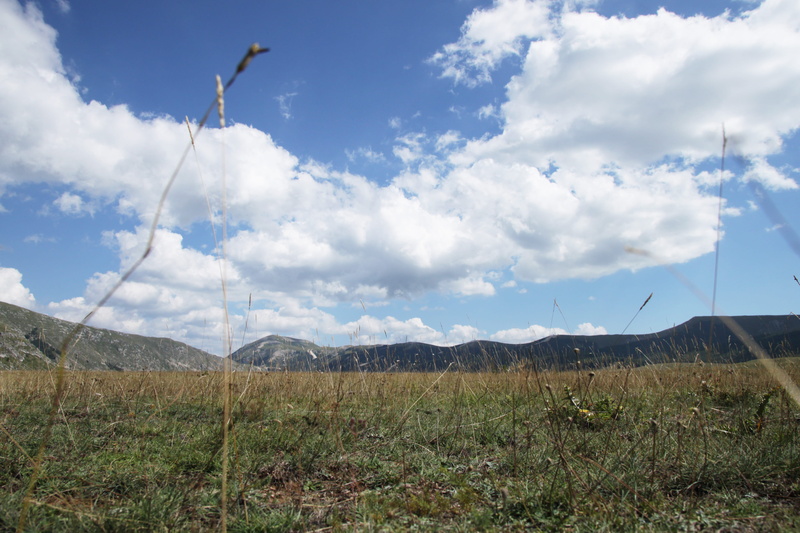 field, meadowland, italy, beauty in nature, plant, tranquil scene, non-urban scene, outdoors, 2018, idyllic, sky, cloud - sky, aq, tranquility, grass, rocca di cambio