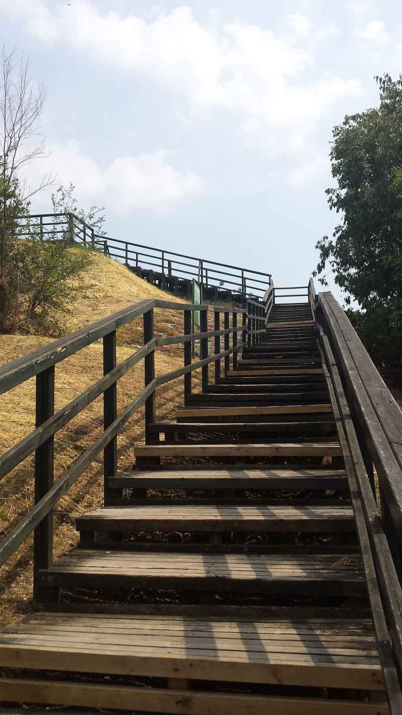 architecture, pattern, trap, tree, outdoors, staircase, built structure, low angle view, 4K, connection, italy, up, diminishing perspective, railing, steps and staircases