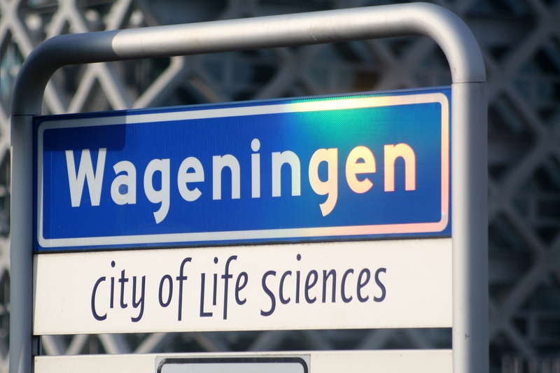 industry, travel, municipality, symbol, student city, blue, wageningen, metal, university, information, directional sign, retail, focus on foreground, close-up