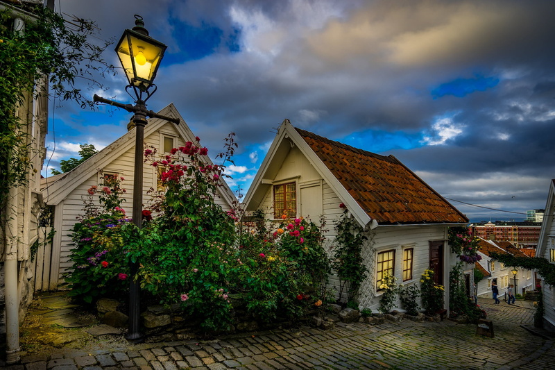 the evening, street, municipality, home, Stavanger, the city, lights, bridge, flowers, 1080P, Norway, plantings, lighting