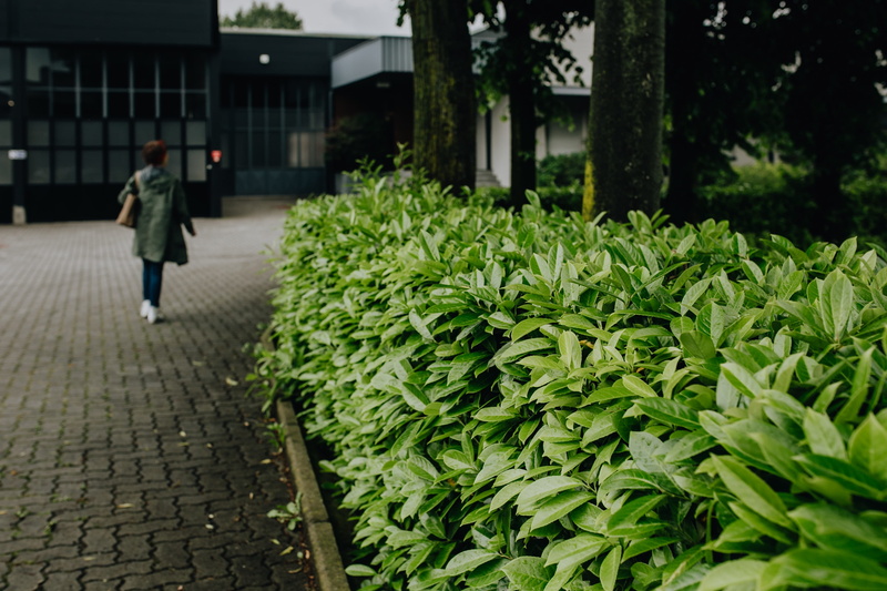 footpath, 4K, street, leaf, paving stone, day, one person, building exterior, spring, outdoors, green color, walking, lifestyles, nature, may, plant, flora