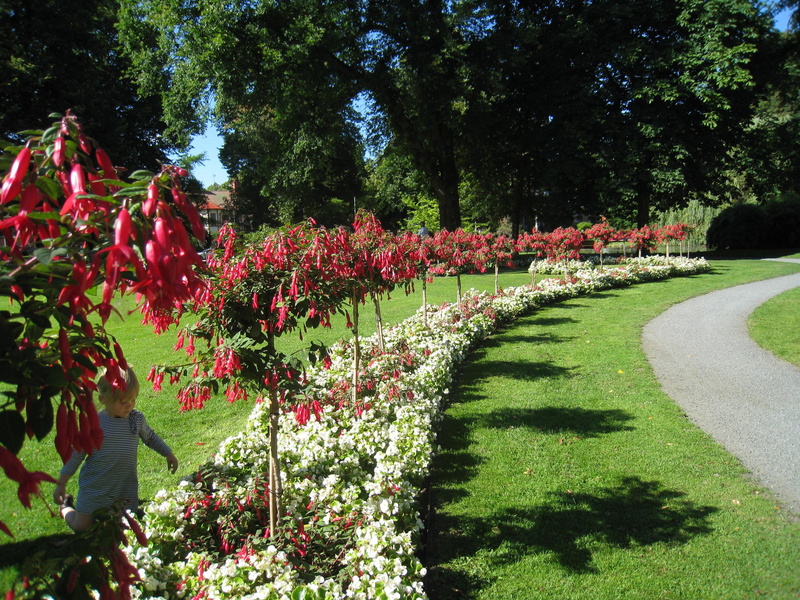 grass, trees, green, girl, 2K, white, flowers, park, municipal