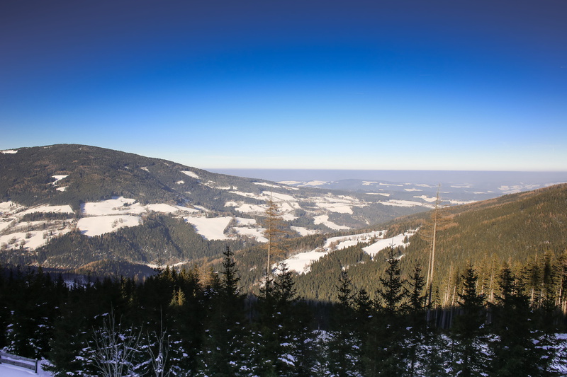 no people, hills, 4K, tranquility, tree, canada, blue, panorama, scenics - nature, pine woodland, nature, cold, color Image, sky, mountain Range, cold temperature