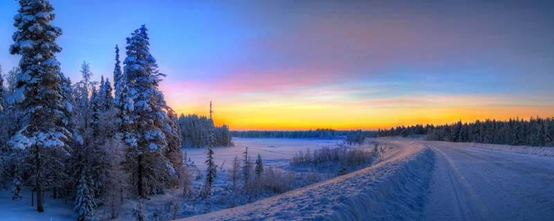 season, 4K, ice, covered, snow, morning, road, sunlight, frozen, color Image, pine tree, nature, tranquility, no People, non-Urban Scene, travel, white