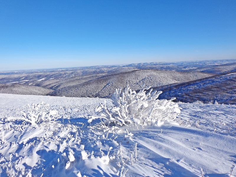 mountain ridge, beauty in nature, idyllic, no people, blue, Forest, snowcapped mountain, view, sky, environment, bieszczady, ice, sunny, tourism, biel