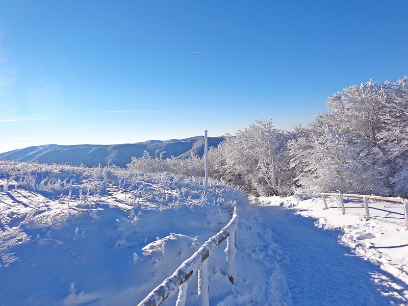 mountain, the beauty of the mountains, ski resort, snowcapped mountain, Frost, no people, cold temperature, mountains, beauty in nature, sunlight, sunny