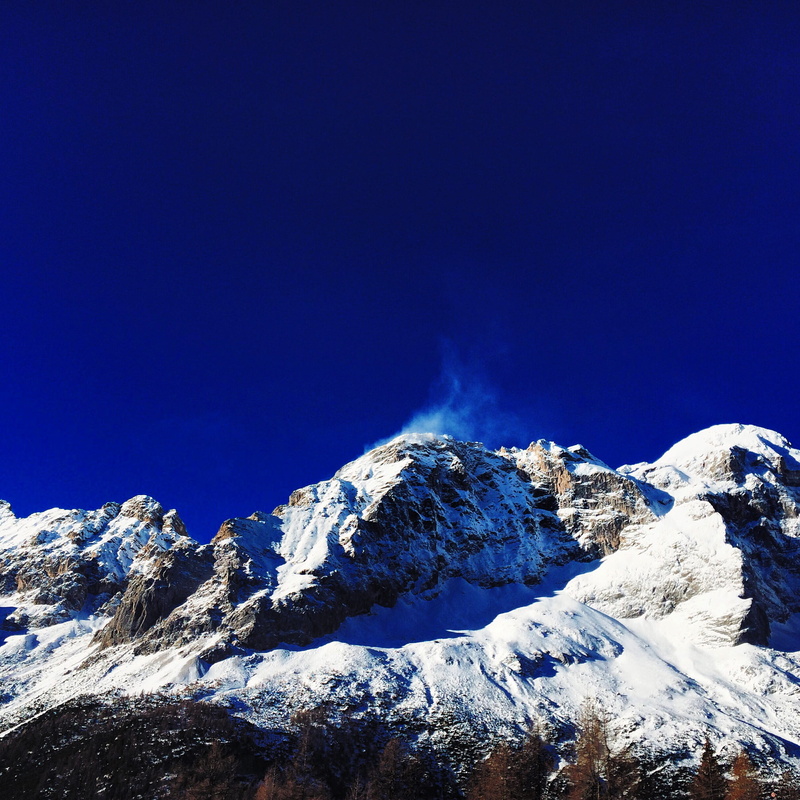 abies, rock - object, clear sky, plant, pian del crep val di, nature, extreme terrain, outdoors, snow, cold temperature, scenics - nature, solid, scenery