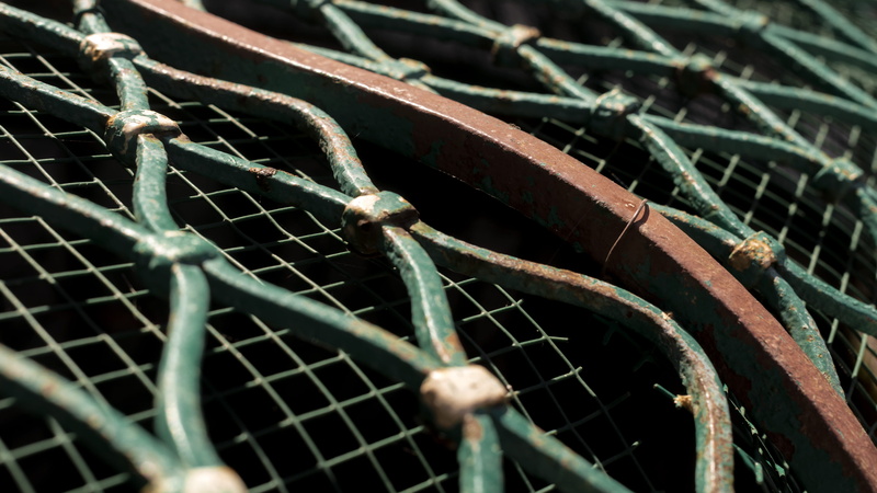 chiesa di san benedetto, plant, barrier, outdoors, full frame, selective focus, fence, catania, sharp, protection, rusty, deterioration, boundary, spider web